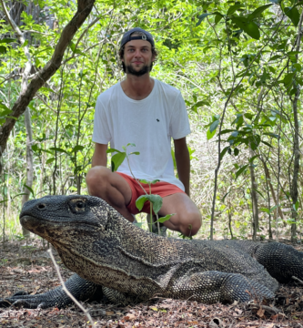Ile komodo dragon